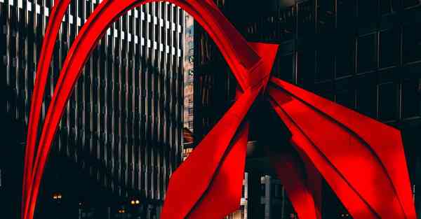 佛跳墙最新版下载v2.