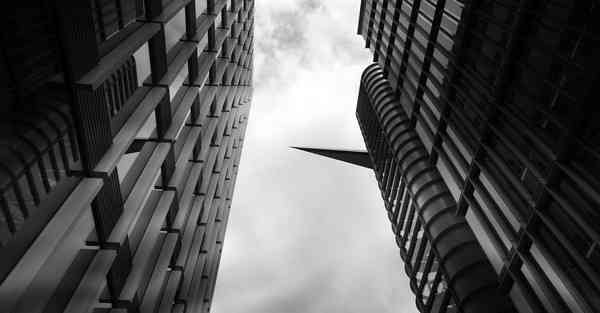 佛跳墙最新版下载v2.